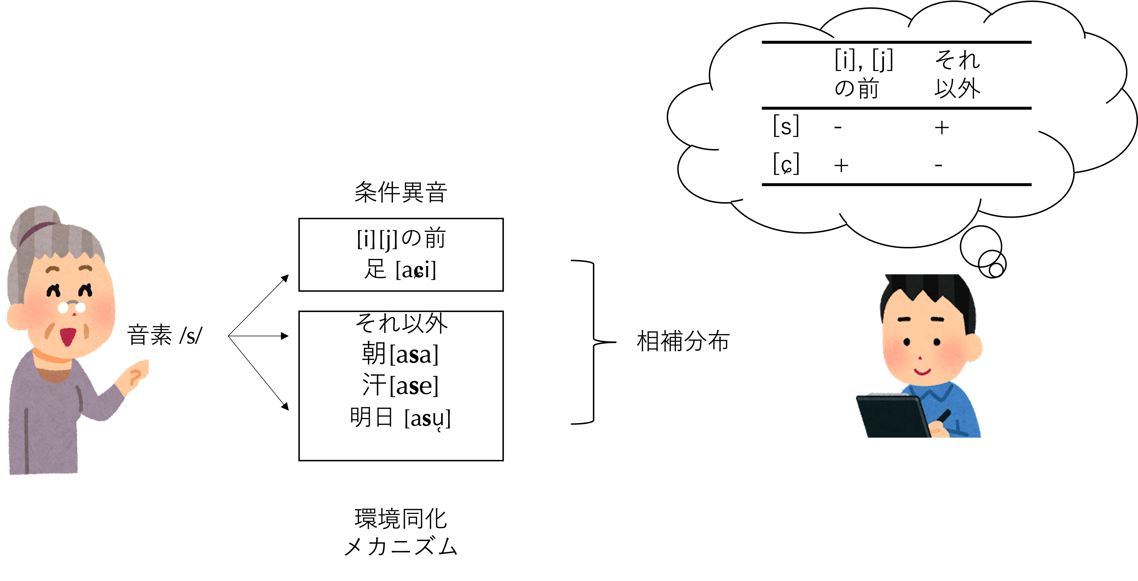 日本語の/s/の相補分布状況